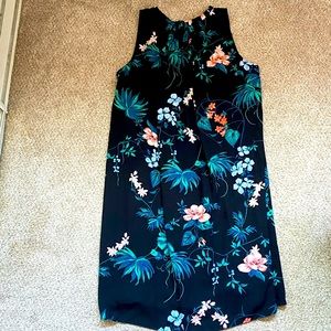 NWT Banana Republic shift pinch dress